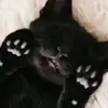 barbarabelluccipg - @barbarabelluccipg - TikTok
