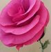 Barbara Belzyt - Facebook