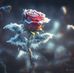 Urszula Barbara Baoniak - Facebook