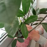 barbara benassi - @brig.ittebardotte - Instagram