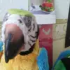 Barbara Bendig - @barbara.bendig - TikTok