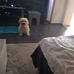 Barbara Bendig - Facebook
