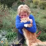 Barbara Bendig - @babsilo48 - Instagram