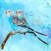 Barbara Bendig - Facebook