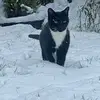barbarabenge152 - @barbarabenge152 - TikTok