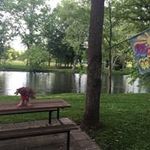Barbara Bennington - @barbarabennington - Instagram
