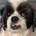 Barbara Bentley - Facebook