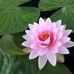 Barbara Bentley - @bentley3420 - Instagram