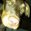 barbarabenton556 - @barbbenton - TikTok