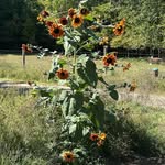 Barbara Benway Mitchell - @barbarabenway - Instagram