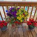 Barbara Berberich - Facebook