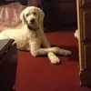 barbarajeanberganedwards - @barbarajeanberganedwards - TikTok