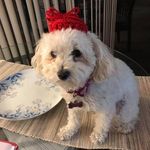 Barbara Berghoff - @barbara.berghoff.1000 - Instagram