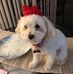 Barbara Berghoff - Facebook