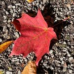 Barbara Bergstrom - @bergstrom.barbara - Instagram