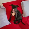 Barbara Bernacchi - @barbara.bernacchi1 - TikTok