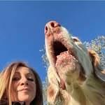 Barbara Bernacchi - @barbara_bernacchi - Instagram
