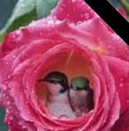 Barbara Bernal - Facebook
