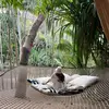Bárbara bernal - @barbarabernnal - TikTok