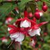 Barbara Bernat - Facebook
