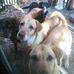 Barbara Bernotas - Facebook