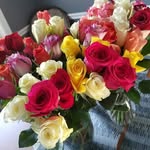 Barbara Bernstein Litvak - @barbarabernsteinlitvak - Instagram