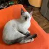Barb Berridge - @barb.berridge - TikTok