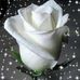 Barbara Berrio - Facebook