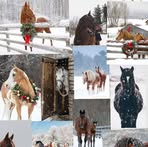 Barbara Berta - Facebook