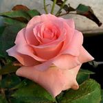 Barbara Berton - @barbara.berton.3 - Instagram