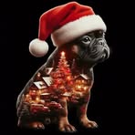 Barbara Bertone - Facebook