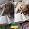 Barbara Bartorelli - @barbarabartorelli - TikTok