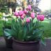 Barb Bertsch - Facebook