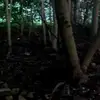 barbarabesold - @barbarabesold - TikTok