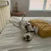 Barbara Besser - @barbara.besser - TikTok