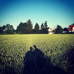 Barbara Besser - @barbarabesser - Instagram
