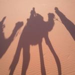 Barbara Besser - @bbesser54 - Instagram