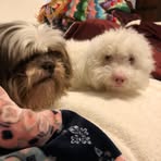Barbara Bessire - Facebook