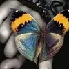 barbarabettin7 - @barbarabettin7 - TikTok