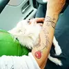 barbarabettinell27 - @barbarabettinell27 - TikTok