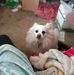 Barbara Bever - Facebook