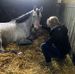 Barbara Bever - Facebook