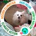 Barbara Bever - Facebook
