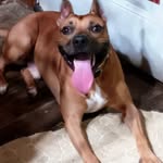 Barbara Beverly - @barbara.beverly.731 - Instagram