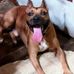 Barbara Beverly - Facebook