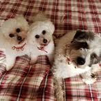 Barbara Bewley - Facebook
