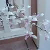 barbarabhola - @barbarabhola - TikTok