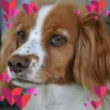 Barbara Bianchi - @barbarabianchi21 - TikTok