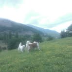 Barbara Bianucci - Facebook