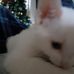 Barbara Bickel - Facebook